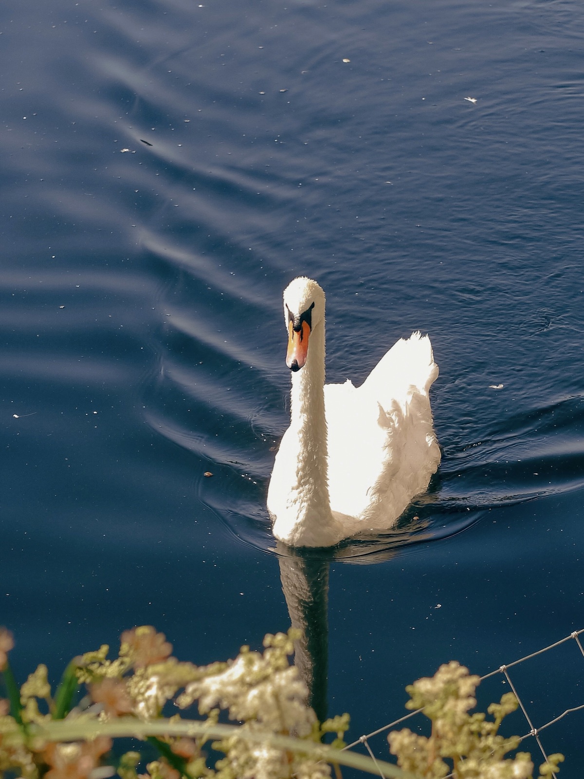 My photographs — b12