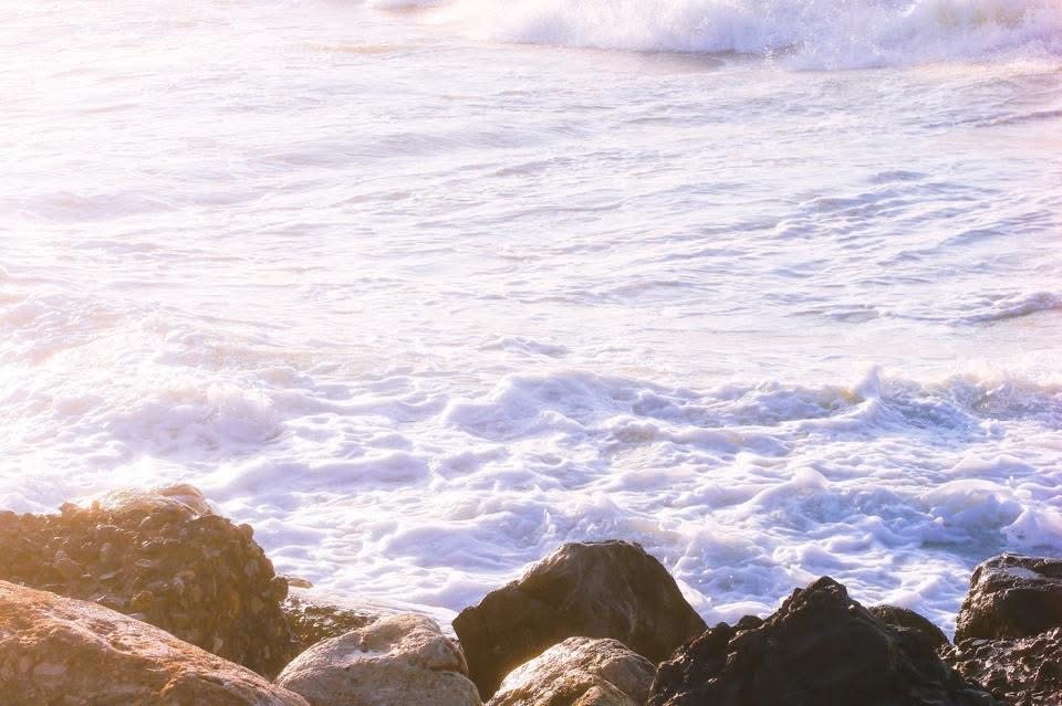 My photographs — a16